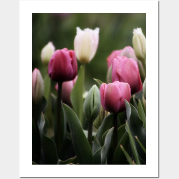 Spring Tulips Wall Art by Hemeria